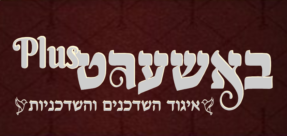 באשערט פלוס